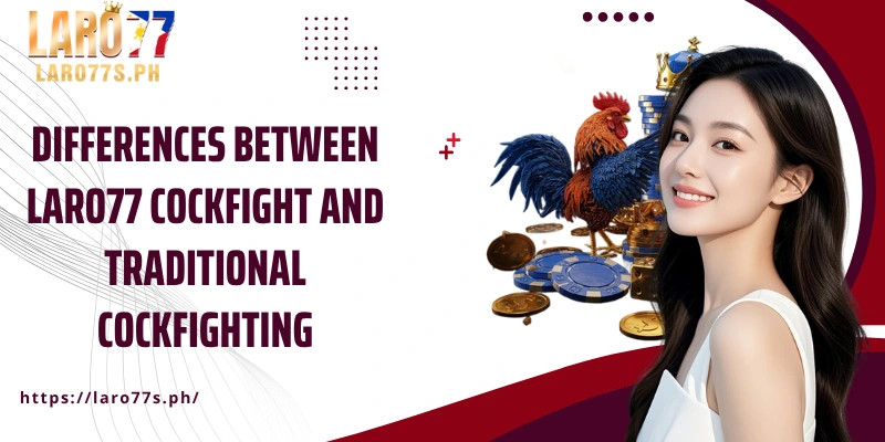 Differences between Laro77 cockfight and traditional cockfighting