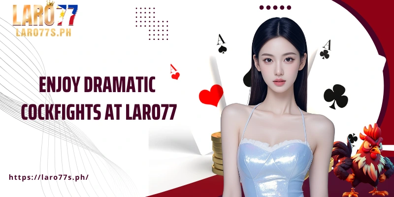 Hãy tận hưởng những trận gà chọi kịch tính tại Laro77!