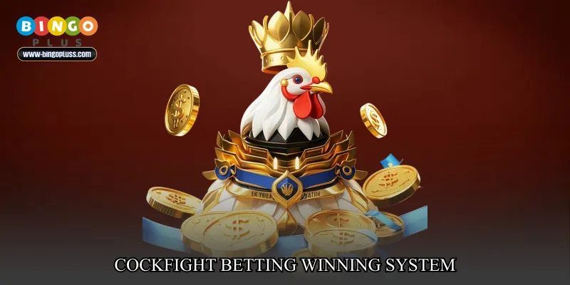 cockfight betting winning system