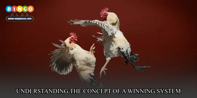 Understanding the concept of a winning system