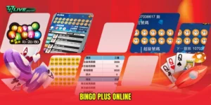 Bingo plus online